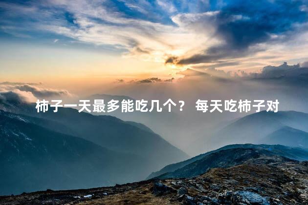 柿子一天最多能吃几个？ 每天吃柿子对身体好吗